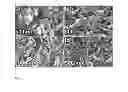 Fig. 05 - Manufacture of crystallite particles