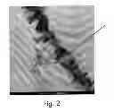 Fig. 03 - Process for the production of nanostructured carbon materials