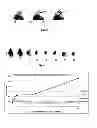 Fig. 03 - Phospholipid ether analogs as agents for detecting and locating cancer, and methods thereof
