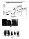 Fig. 08 - Phospholipid ether analogs as agents for detecting and locating cancer, and methods thereof