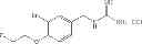 Fig. 41 - Ligands for imaging cardiac innervation