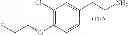 Fig. 52 - Ligands for imaging cardiac innervation