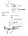Fig. 01 - Compositions and methods for the treatment of hepatic diseases and disorders