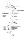 Fig. 02 - Compositions and methods for the treatment of hepatic diseases and disorders