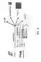 Fig. 03 - HEMATOPOIETIC STEM AND PROGENITOR CELL THERAPY