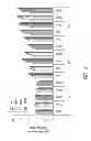 Fig. 04 - HEMATOPOIETIC STEM AND PROGENITOR CELL THERAPY