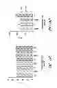 Fig. 24 - HEMATOPOIETIC STEM AND PROGENITOR CELL THERAPY