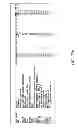 Fig. 28 - HEMATOPOIETIC STEM AND PROGENITOR CELL THERAPY