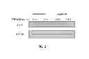 Fig. 03 - HIGHLY FUNCTIONALIZED STEM CELL/PROGENITOR CELL BY APE1 GENE TRANSFECTION