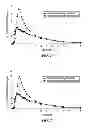 Fig. 02 - Pharmaceutical Compositions