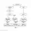 Fig. 02 - Vaccines directed to langerhans cells