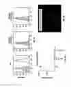 Fig. 08 - Vaccines directed to langerhans cells