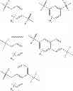 Fig. 16 - Conjugates of tumor necrosis factor inhibitors to functionalized polymers