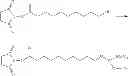 Fig. 58 - Conjugates of tumor necrosis factor inhibitors to functionalized polymers