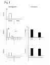 Fig. 02 - Adjuvant