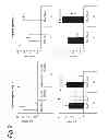 Fig. 03 - Adjuvant