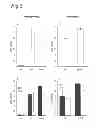Fig. 04 - Adjuvant