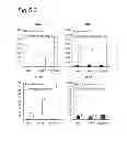 Fig. 08 - Adjuvant