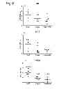Fig. 09 - Adjuvant
