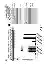 Fig. 02 - Methods for increasing immune responses using agents that directly bind to and activate IRE-1