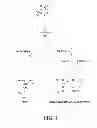 Fig. 02 - Biodegradable Polyphosphazenes Containing Pyrrolidone Side Groups