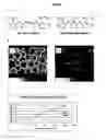 Fig. 02 - POLYMERS AND METHODS FOR THE TREATMENT OF PAIN