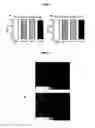 Fig. 11 - POLYMERS AND METHODS FOR THE TREATMENT OF PAIN