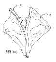 Fig. 06 - TRAINING DEVICE AND METHOD FOR SPAYING AND/OR SUTURING ANIMALS