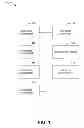 Fig. 02 - Curriculum assessment