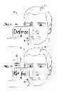 Fig. 02 - METHOD AND DEVICE FOR REAL TIME EXPRESSION