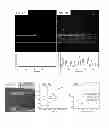 Fig. 07 - Electrically conductive polymer electrodes with incorporated viruses