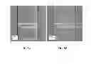 Fig. 08 - Electrically conductive polymer electrodes with incorporated viruses