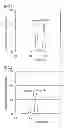 Fig. 02 - FILLER FOR ION EXCHANGE CHROMATOGRAPHY AND METHOD FOR SEPARATING AND DETECTING NUCLEIC ACID STRAND