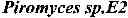 Fig. 03 - Acetyl-CoA producing enzymes in yeast