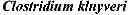 Fig. 04 - Acetyl-CoA producing enzymes in yeast