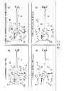 Fig. 04 - MICROFLUIDIC HPLC-CHIP FOR GLYCOPEPTIDE ANALYSIS WITH INTEGRATED HILIC ENRICHMENT