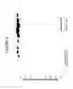Fig. 05 - BIOMARKERS OF CHRONIC OBSTRUCTIVE PULMONARY DISEASE