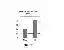 Fig. 03 - Image analysis and measurement of biological samples