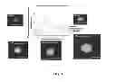 Fig. 07 - Image analysis and measurement of biological samples
