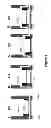 Fig. 08 - Modular platform for multi-tissue integrated cell culture
