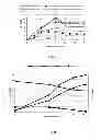 Fig. 09 - Bacterial strain and fermentative process for producing succinic acid
