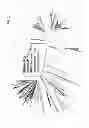 Fig. 02 - Terpene Synthases and Methods of Using the Same