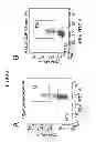 Fig. 02 - COMPOSITIONS AND METHODS FOR TREATING AND DIAGNOSING CANCER