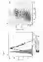 Fig. 09 - COMPOSITIONS AND METHODS FOR TREATING AND DIAGNOSING CANCER