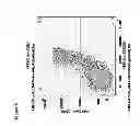 Fig. 10 - COMPOSITIONS AND METHODS FOR TREATING AND DIAGNOSING CANCER