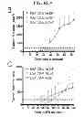 Fig. 12 - COMPOSITIONS AND METHODS FOR TREATING AND DIAGNOSING CANCER