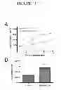 Fig. 15 - COMPOSITIONS AND METHODS FOR TREATING AND DIAGNOSING CANCER