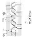 Fig. 44 - Apparatus for detecting tumor cells