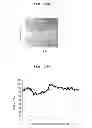 Fig. 16 - Method for producing substrate having concavity and convexity structure and method for producing organic EL element using the same