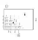 Fig. 07 - Electrical connectivity for circuit applications
